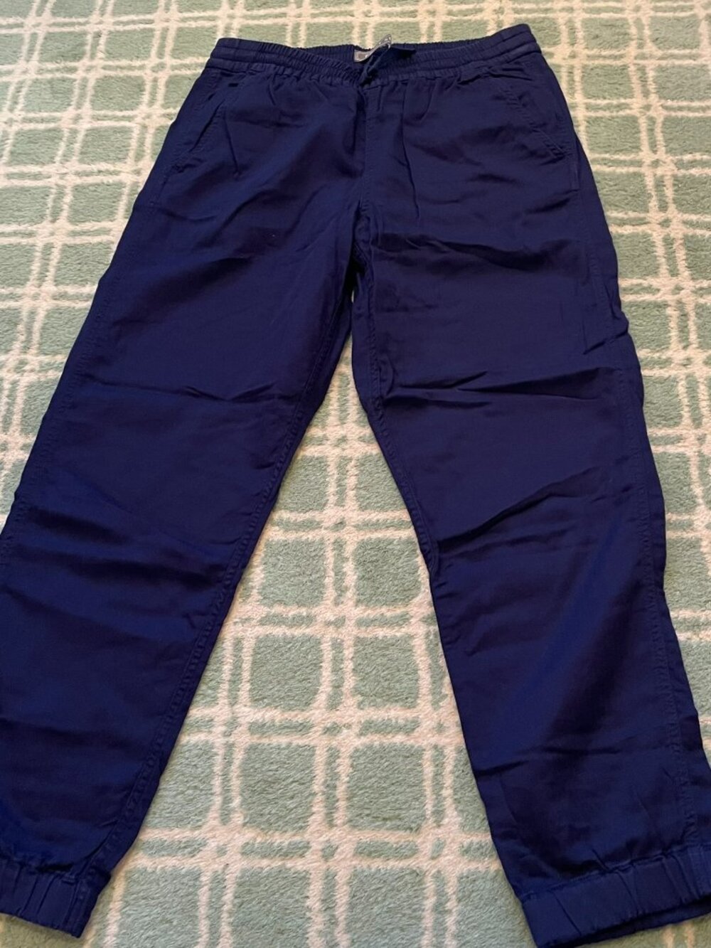 J. Crew Point Sur Beach Pan 6T